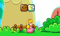 Super Princesse Peach